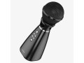 BK6 Hi-song K song microphone