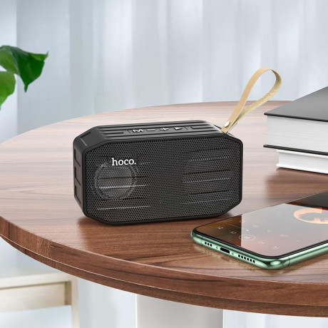BS42 Smart sports BT speaker