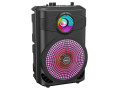 BS46 Mature outdoor BT speaker