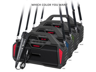 HOCO Speaker NR-6011M