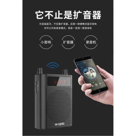 Bluetooth Speaker Model KS15