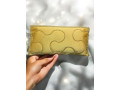 Beautiful Party Wallet For Women