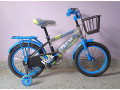 Kids Cycle 16 size