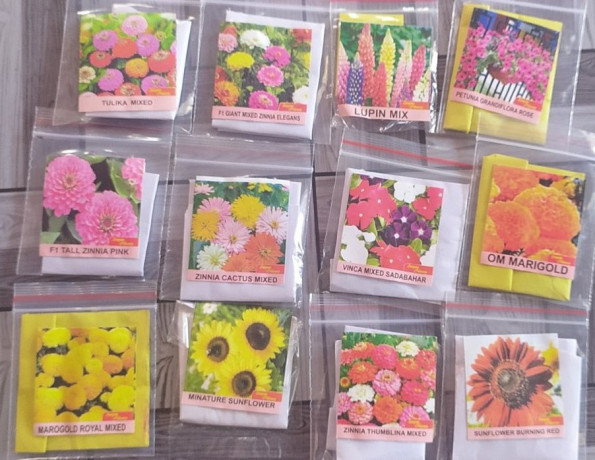 Flower Seeds