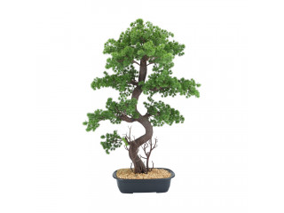 BOSINO BONSAI IN POT H89 CM. GN