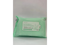 girlpal-aloe-vera-make-up-remover-cleansing-wipes-25pcs-small-0