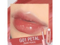 pf-l02-ever-glossy-moist-lipgloss-shadecolor-g01-petal-small-0