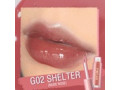 PF-L02 Ever Glossy Moist Lipgloss, Shade/Color: G02 Shelter