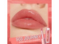 pf-l02-ever-glossy-moist-lipgloss-shadecolor-s03-journey-small-0