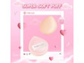 Pink Flash-T11 Make-Up Puff, Type: Tl01