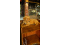 Golden Retriever Puppy- 4 Months
