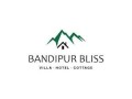 night-stay-at-bandipur-bliss-villa-small-1