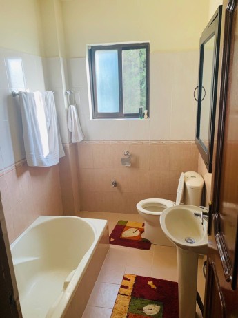 Luxurious Apartment for rent near Boudha Stupa