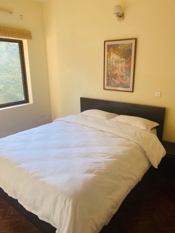 Luxurious Apartment for rent near Boudha Stupa