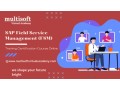 SAP Field Service Management (FSM) Training Certification Course Online