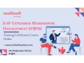 sap-extended-warehouse-management-ewm-training-certification-course-small-0