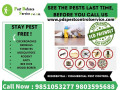 pest-control-service-small-0