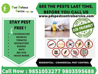 Pest Control Service