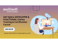 SAP Hybris (DEVELOPER & FUNCTIONAL) Online Training & Certification Course