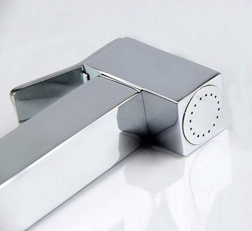 Commode Spray Brass